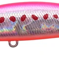 Pink Sardine
