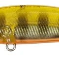 Gold Gill II