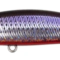 Violet Shiner