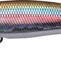 Ocean Bait