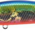 Okinawa Red Belly