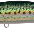 Real Mackerel
