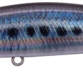Real Sardine
