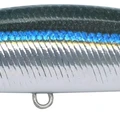 Blackear Sardine