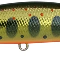 Gold Yamame