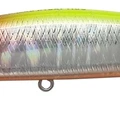 Chartback Red Head