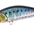 Genkai Sardine