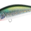 Gizzard Mullet
