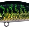 Green Mackerel