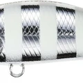 UV Silver Slash Zebra Glow