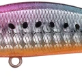 Sakura Sardine