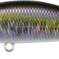 River Bait