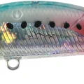 Bleeding Sardine