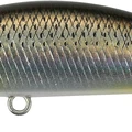 Flashy Mullet