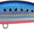 Flash Mazume Sardine