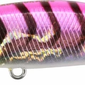 Pink Gigo