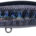 Barracuda ND