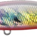 Rainbow RB