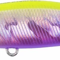 Pacific Purple