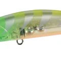 Lime Head Clear Gigo