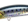 Genkai Sardine