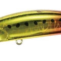 Burning Gold Sardine