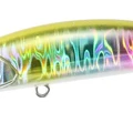 Gold Rainbow