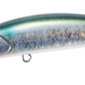 Gizzard Mullet