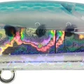 Bleeding Sardine