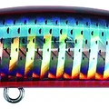 Red Mullet
