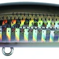 Waka Mullet