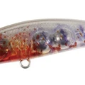 UV Ami Shrimp EX