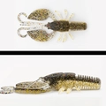 119 SPAWNING SHRIMP