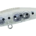 Anchovy Baby