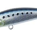 Sardine