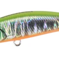 Lime Head Chart OB