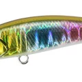 Gold Rainbow