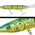 126 SHIIRA CHART