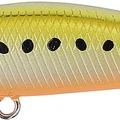 Golden Sardine