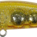 Tortoise Shell