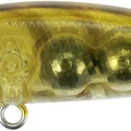 Gold Shrimp