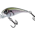 MX Ghost Minnow