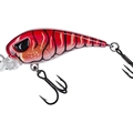 Mud Craw