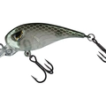 Pearlescent Shad