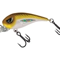 Pearl Gold Back