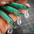 JS 135 10