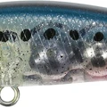 Sardine Spirit