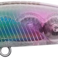 Clear Rainbow