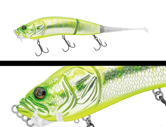 Adusta BARBATOS