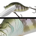 013 BLUE GILL